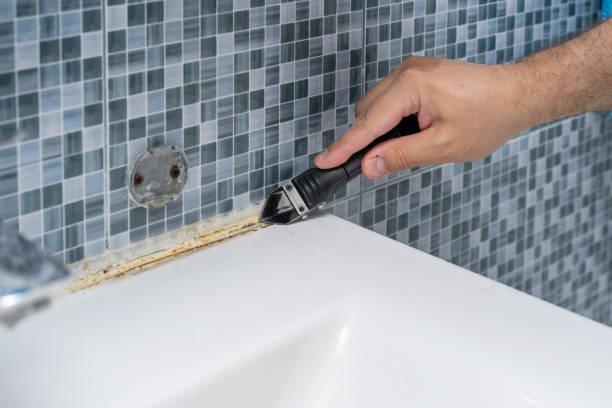 Best Residential Mold Removal  in Brandon, MS